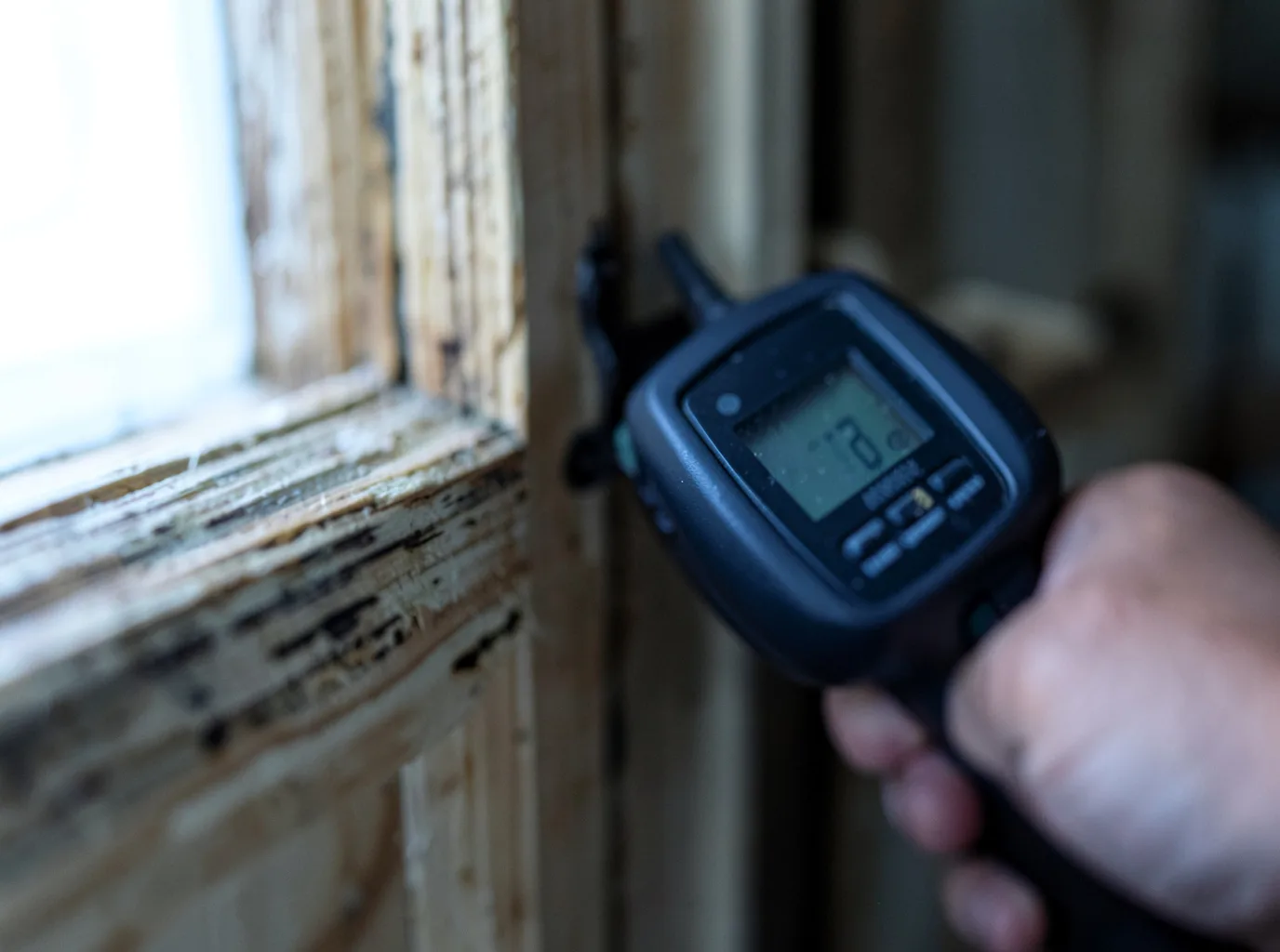 Moisture Inspection And Documentation in Hackett, AR